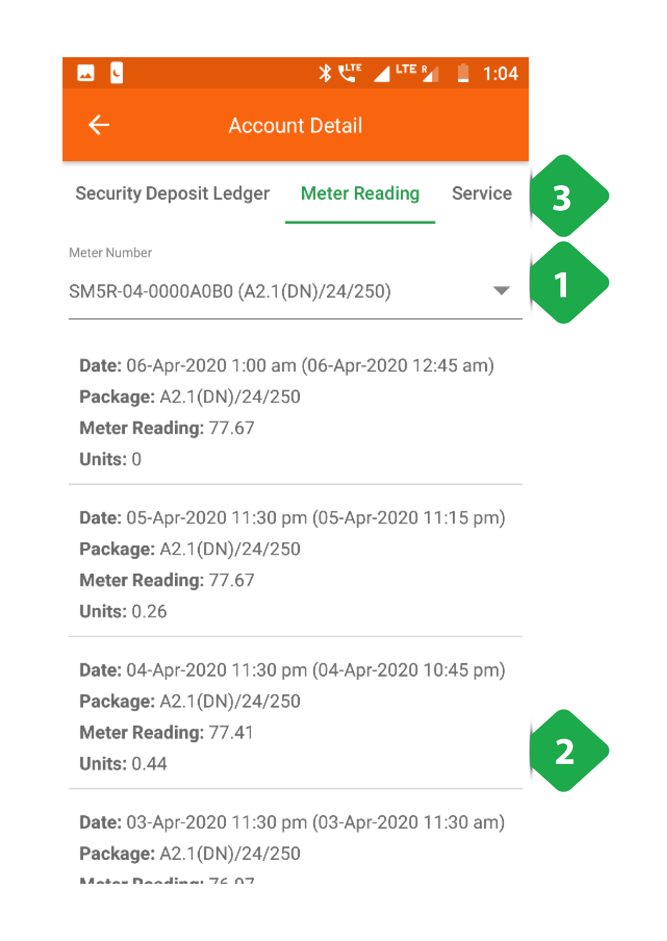 Meter Reading Ledger tab